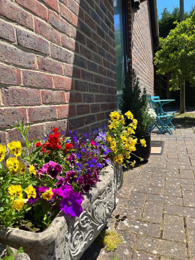 New Forest Hideaway- Self Catering Accommodation Newbridge  외부 사진